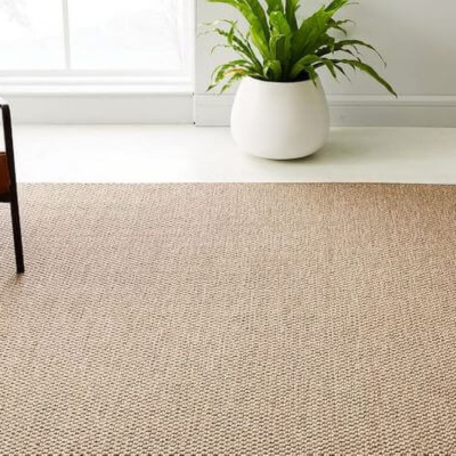 Sisal rugs Dubai, Abu Dhabi & UAE Sisal rugs online